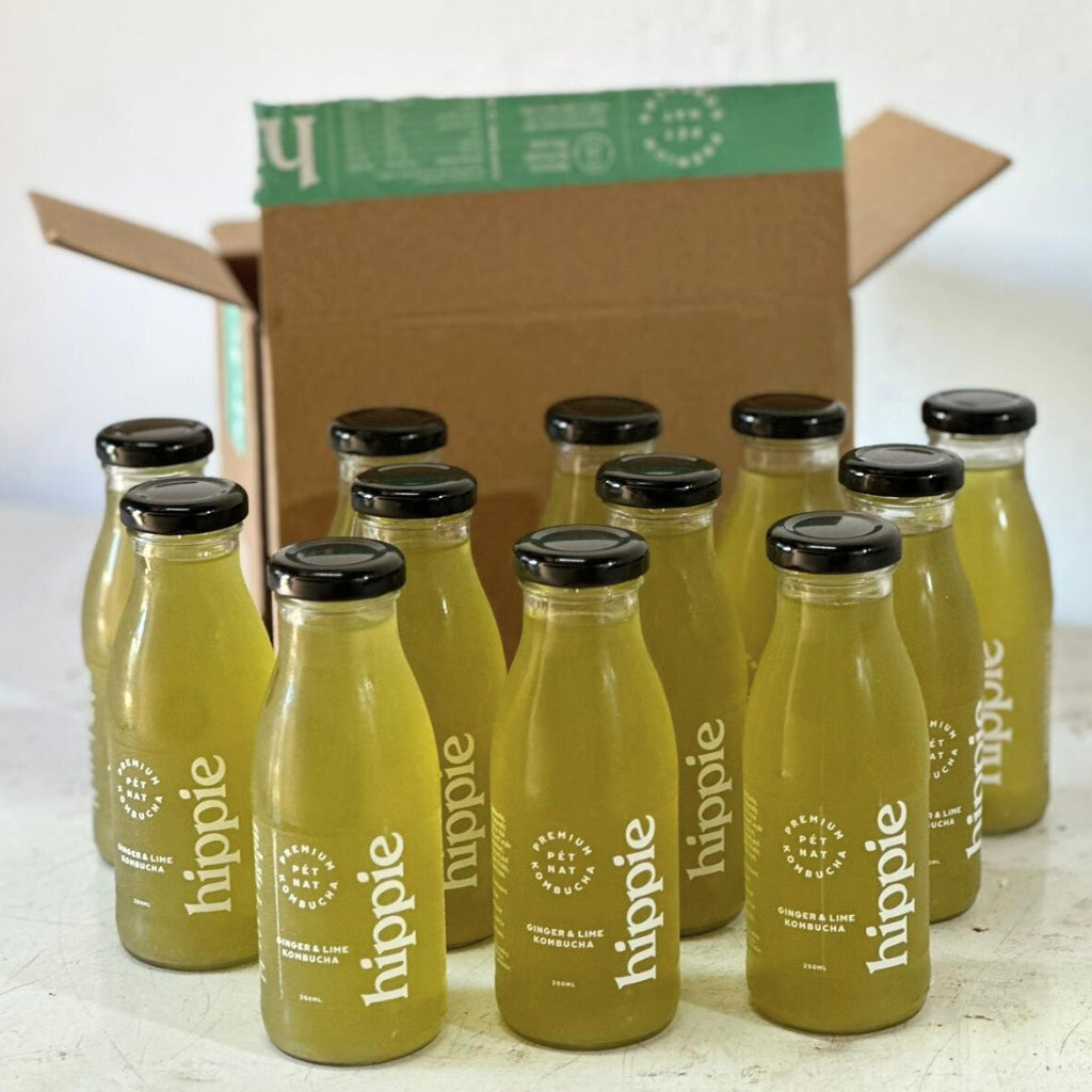 Ginger & Lime - Case 12 Bottles (250ml)